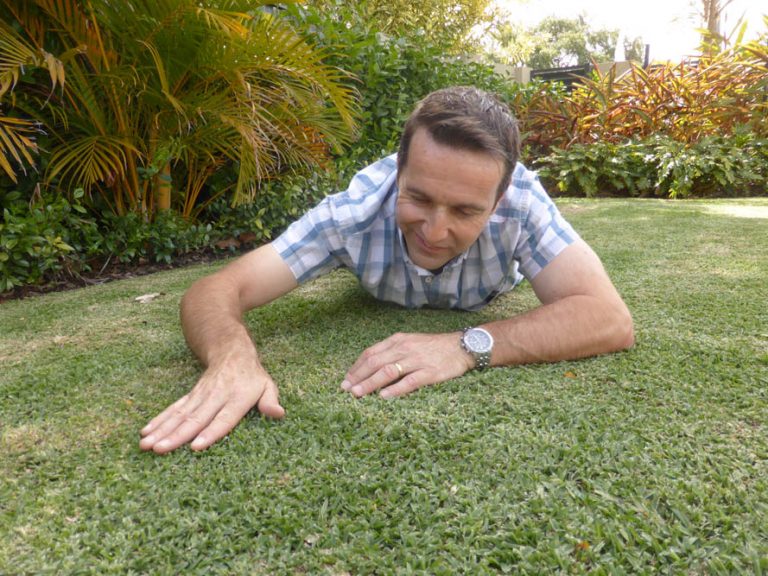 Scotts Australia – Lawn Fertiliser