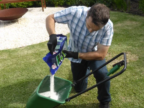 P1120365 Archival image from Scotts Australia – Lawn Fertiliser