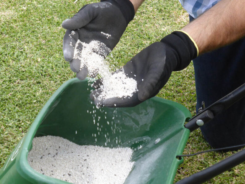 P1120366 Archival image from Scotts Australia – Lawn Fertiliser