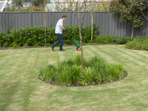 P1120368 Archival image from Scotts Australia – Lawn Fertiliser