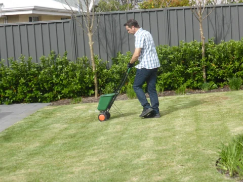 P1120369 Archival image from Scotts Australia – Lawn Fertiliser