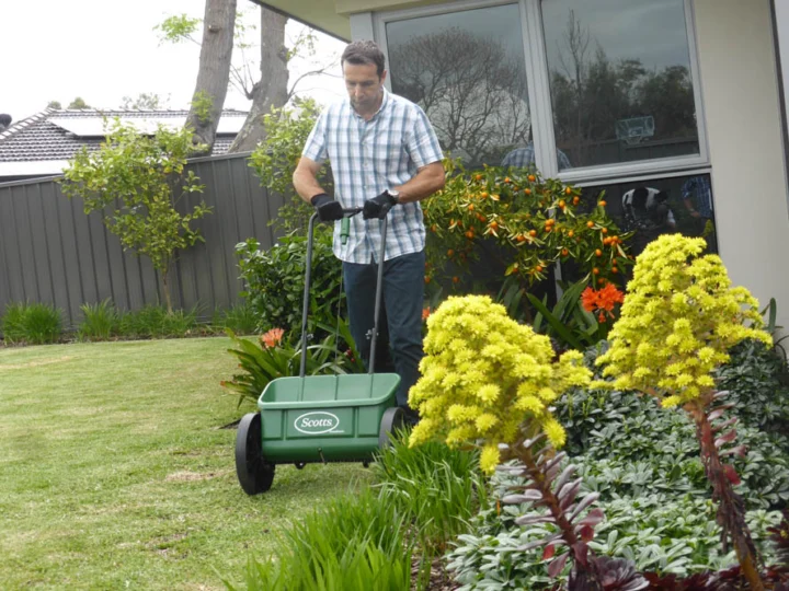 P1120376 Archival image from Scotts Australia – Lawn Fertiliser