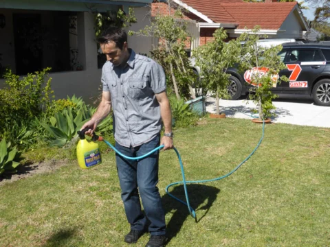 Archival image from Scotts Australia – Weed & Feed
