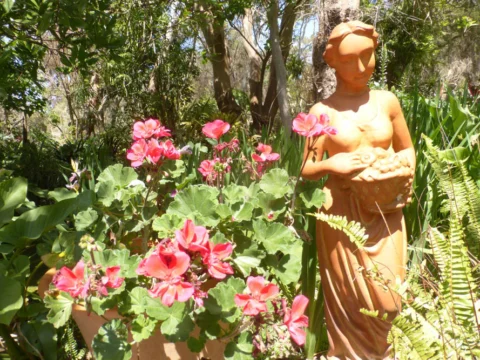 P1120630 Archival image from Amanda Young Garden – Open Day