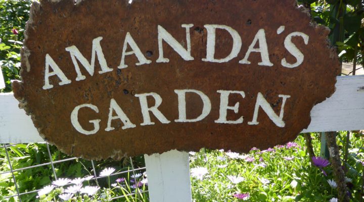 Amanda Young Garden – Open Day