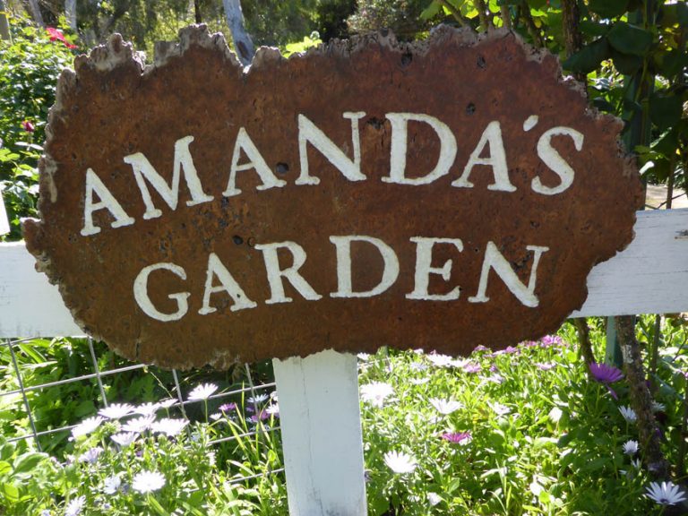 Amanda Young Garden – Open Day