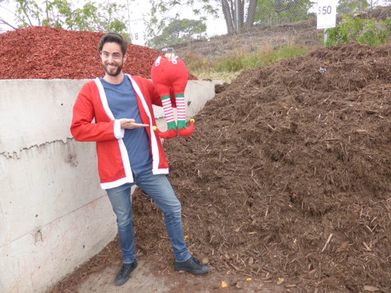 Slab & Garden City – Christmas
