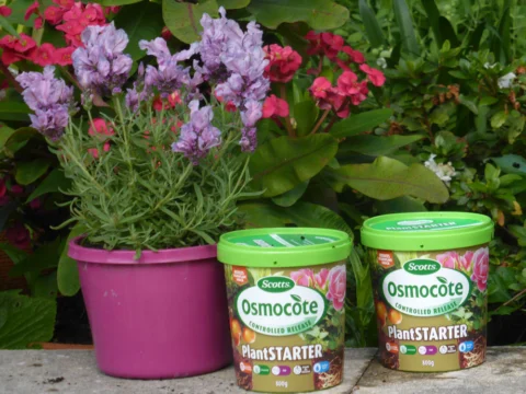 P1120950 Archival image from Scott’s Australia – Osmocote Controlled Release Plant Starter