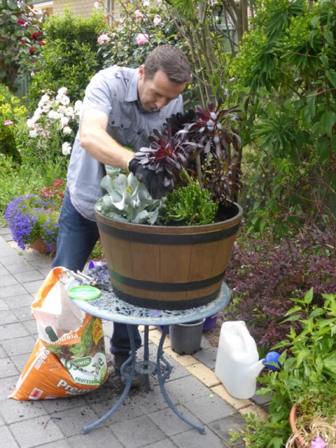 P1120987 Archival image from Scott’s Australia – Osmocote Controlled Release Plant Starter