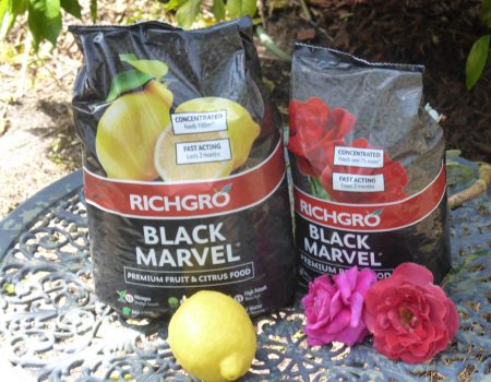 Richgro – Black Marvel for Roses & Citrus