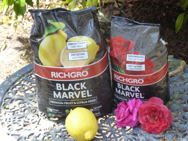 Richgro – Black Marvel for Roses & Citrus