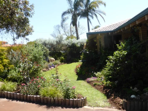 P1130269 Archival image from Scott’s Australia – Boost & Feed