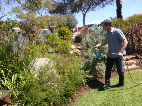 P1130270 Archival image from Scott’s Australia – Boost & Feed