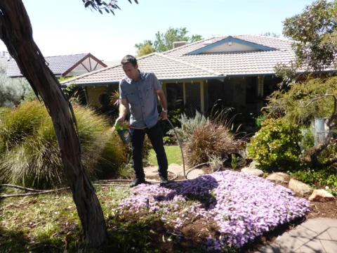 P1130281 Archival image from Scott’s Australia – Boost & Feed