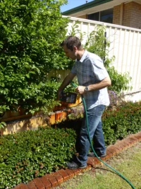 P1130498 Archival image from Seasol – Super Soil Wetter with Seasol