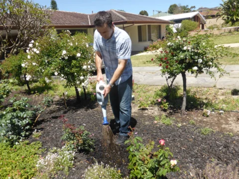 P1130519 Archival image from Seasol – Super Soil Wetter with Seasol