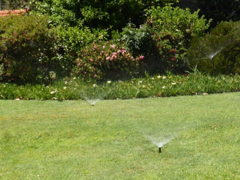 P1130527 Archival image from Seasol – Super Soil Wetter with Seasol