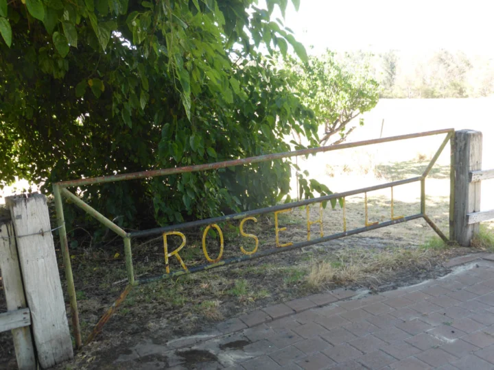 P1130791 Archival image from Rosehill Waters