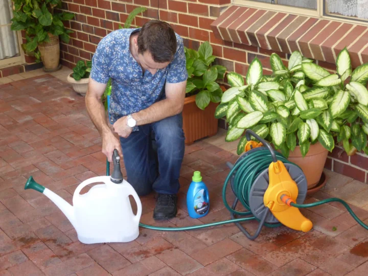 P1130907 Archival image from Scott’s Australia – Everydrop Premium Soil Wetter