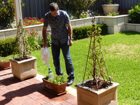P1130908 Archival image from Scott’s Australia – Everydrop Premium Soil Wetter