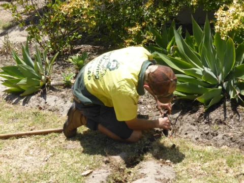 P1130963 Archival image from Jim’s Mowing – Reticulation Install