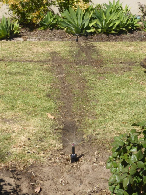 P1130971 Archival image from Jim’s Mowing – Reticulation Install