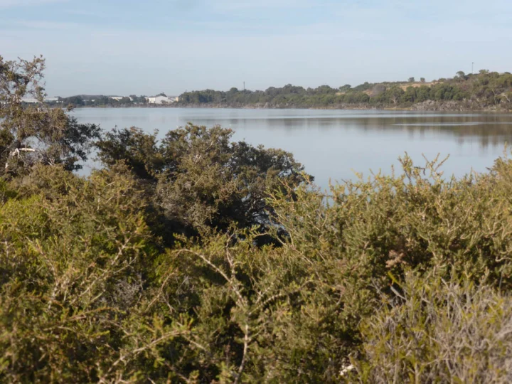 P1140180 Archival image from Lake Coogee Estate by Property Development & Capital