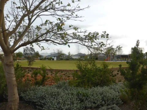 P1140436 Archival image from Honeywood Estate – By the Satterley Group