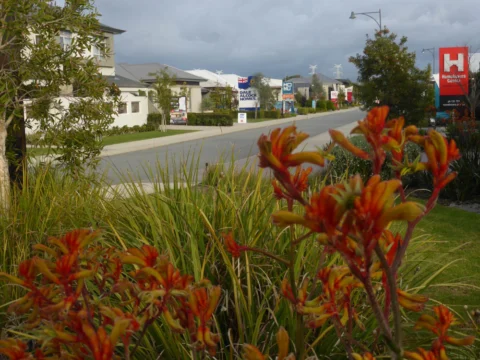 P1140442 Archival image from Honeywood Estate – By the Satterley Group