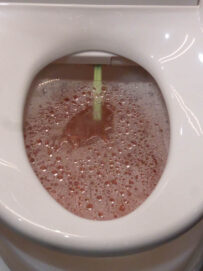P1150387 Archival image from Throne Toilets #2