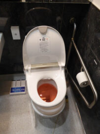 P1150391 Archival image from Throne Toilets #2