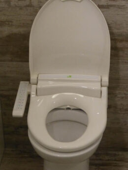 P1150398 Archival image from Throne Toilets #2