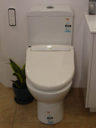 P1150411 Archival image from Throne Toilets #2