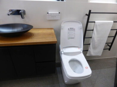 P1150420 Archival image from Throne Toilets #2