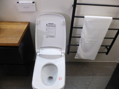 P1150422 Archival image from Throne Toilets #2