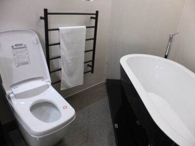 P1150425 Archival image from Throne Toilets #2