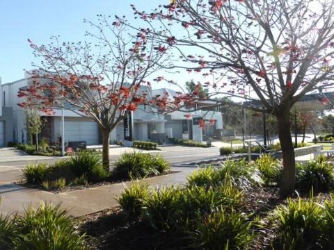 P1150674 Archival image from Seven Hills Estate by the Satterley Group