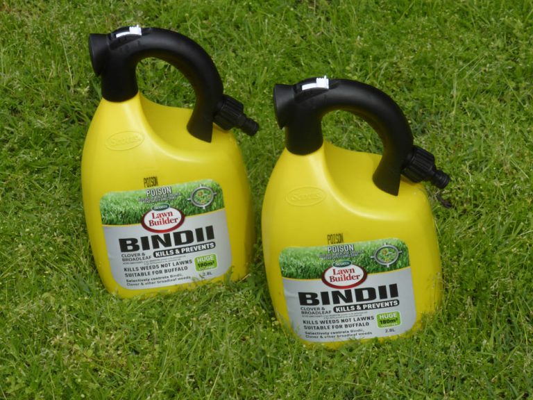 Scotts – Bindi