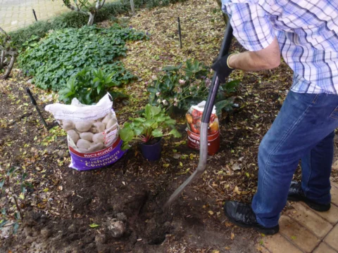 P1160013 Archival image from Richgro Bentonite – Natural Sand to Soil – Organic Mushroom Compost