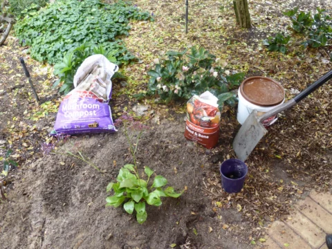 P1160016 Archival image from Richgro Bentonite – Natural Sand to Soil – Organic Mushroom Compost