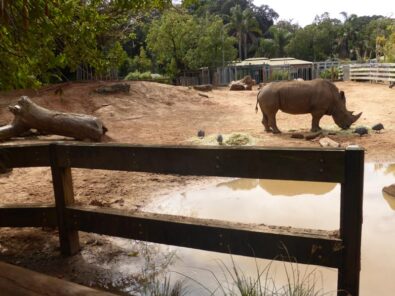 P1160521 Archival image from Midland Brick – Perth Zoo – Community Support