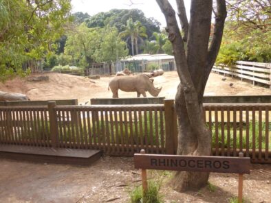 P1160526 Archival image from Midland Brick – Perth Zoo – Community Support