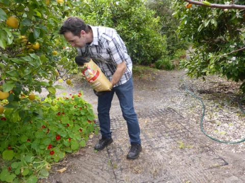 P1160724 Archival image from Richgro – Rock Mineral, Fertilizer & Soil Improver