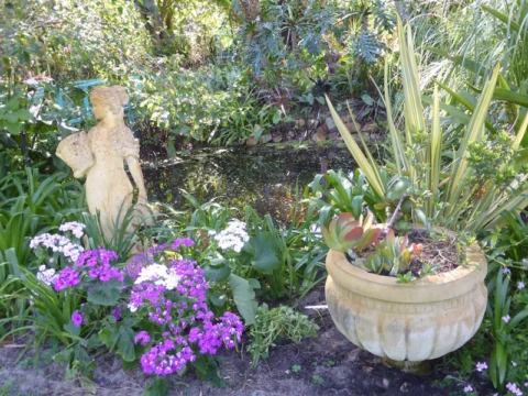 P1160941 Archival image from Baileys – Soil Matters Garden