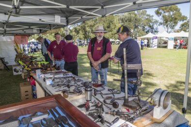 SRC_HAGD_20171101_031 Archival image from HAVE a GO DAY- Burswood Park November 14 – It’s Free!