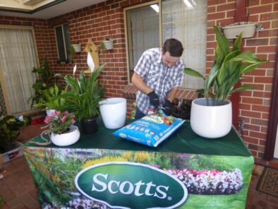 P1170358 Archival image from Scotts Australia