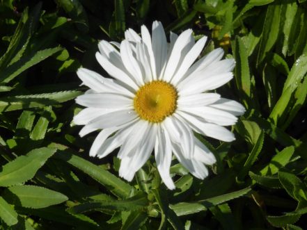 P1170644