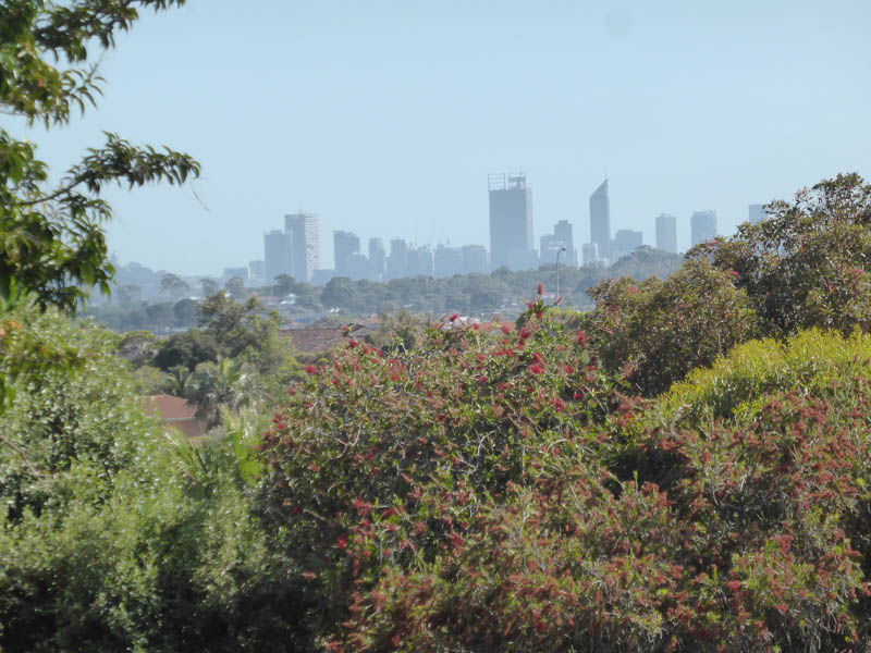 P1170749