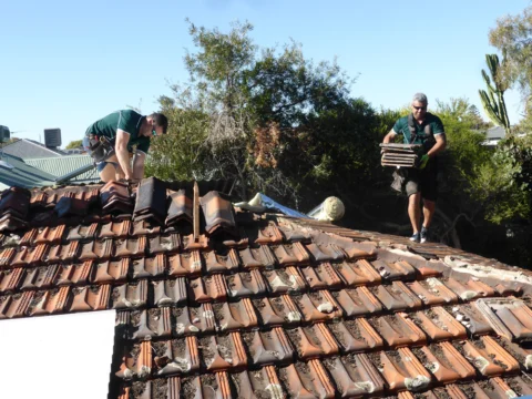 P1180139 Archival image from Roof & Wall Doctor