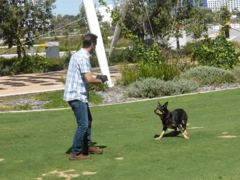 P1200041 Archival image from Scott’s Australia – Lawn Builder Range